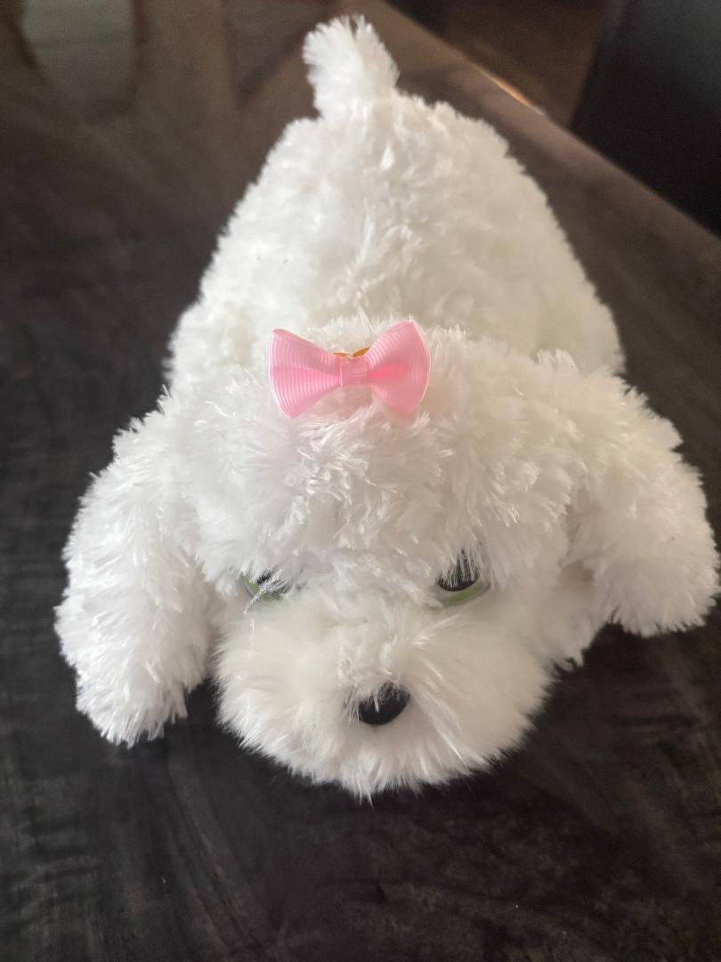 ZOË plush toy. Limited 2025 Edition