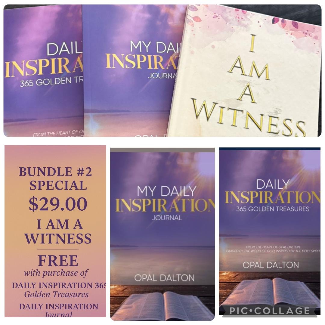 Book Bundle 2