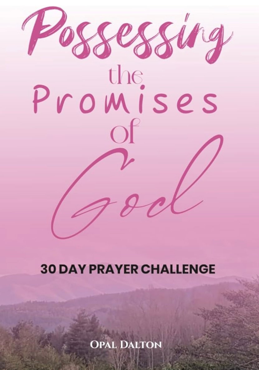 Possessing the Promises of God